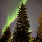 Alexander Pomeroy - @shroomie2007 - Instagram