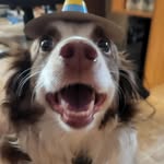 rustopher alexander pomeroy - @the.rustys.official - Instagram