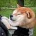 Alexander Poon - Facebook