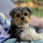 Finley Alexander Posey - @ferociousfinleyp - Instagram