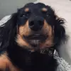 Alexander Powers - @alexanderpowers000 - TikTok