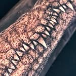 Alexander Prada Ink - @alexanderpradaink - Instagram