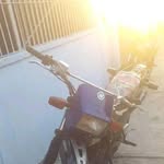 Alexander Prato - @prato.alexander - Instagram