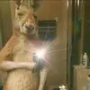 Alexander.prato - @alexander.prato2 - TikTok