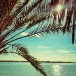 alexander nicolaas - @alexanderpretorius8 - Instagram
