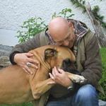 Alexander J. Probst - @doggenalex - Instagram