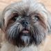 Alexander Probst - Facebook