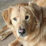 Anne Alexander Proctor - @doubleap62 - Instagram