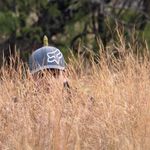 ProctorAlexander - @proctor.alexander - Instagram