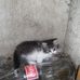 Alexander Pross - Facebook