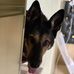 Alexander Pugh - Facebook