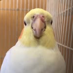 Alexander - @alexander_randomvids - Instagram