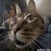 Alexander Rasbury - Facebook