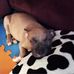 Alexander Reneau - Facebook