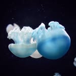 Alexander Rollison - @alexander.rollison - Instagram