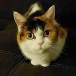 Alexander Rösner - @rosner8325 - Instagram