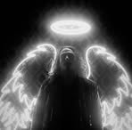 Alexander Schiffner - Facebook