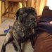 Alexander Schimpf - Facebook