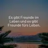 Alexander Schulz - @alexander.schulz8 - TikTok