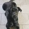 alexanderschulz86 - @alexanderschulz86 - TikTok