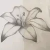 Alex Snodgrass - @alexsnodgrass581 - TikTok