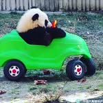 Александр - @alexandersnowgood - Instagram