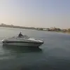 alexander.springer0 - @alexander.springer0 - TikTok