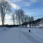 Alexander Steere 🇸🇪 - @alexandersteere - Instagram