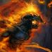 Alexander Steers - Facebook