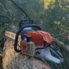 Alexander Steiner - @stone.junior3 - TikTok