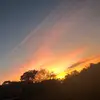 Stiles Alexander - @stiles.alexander - TikTok