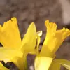 Alex Strand - @alex.strand09 - TikTok