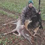 Alexander Strand - @strandalexander - Instagram