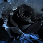 Alexander Strand - @alexander.strand.39 - Instagram