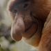 Alexander Sutton - Facebook
