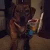 suttonalexander - @sutton.alexander - TikTok