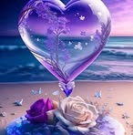 Alexander Taylor - Facebook