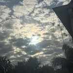 Alexander templeton - @frattor1a - Instagram