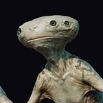 Alexander Thompson - @alexanderthompsonfilms - Instagram