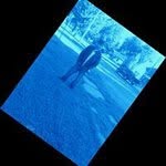 Alexander Trejo - @alexander.trejo - Instagram