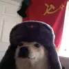 alexander trejo - @alexandertrejo226 - TikTok