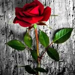 Alexander Usmanov - @usmanov.alexander - Instagram