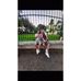 Alexander Vado - Facebook