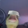 Alex - @alexandervalevele - TikTok
