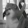Alexander Vale - @alexandervale_ - TikTok