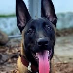 Alexander Valiente - @valientealexander47 - Instagram