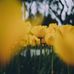 Alexander Venable - Facebook