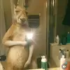 alexandervila21 - @alexandervila21 - TikTok
