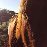 Alexander Visser - @alexander.visser.9699 - Instagram