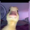Alexander Vu - @alex_vu7 - TikTok